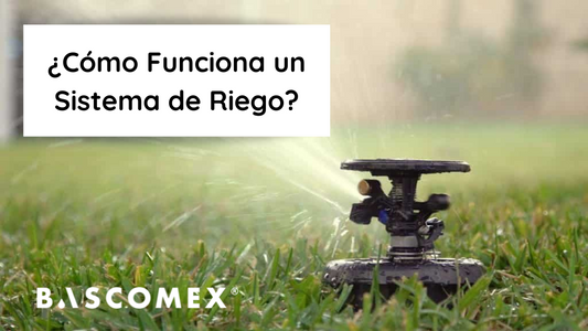 ¿Cómo Funciona un Sistema de Riego?