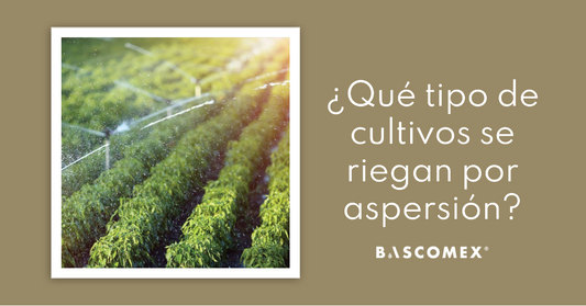 ¿Qué tipo de cultivos se riegan por aspersión?